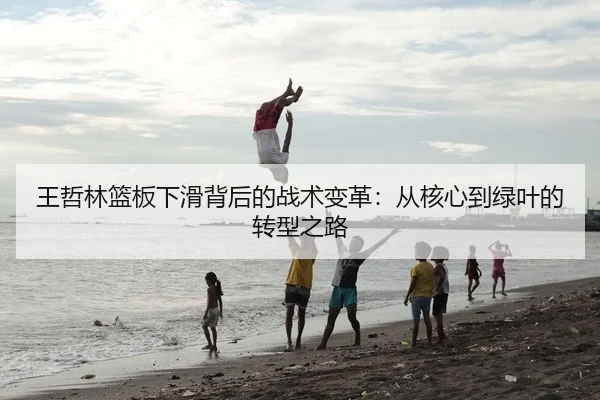 王哲林篮板下滑背后的战术变革：从核心到绿叶的转型之路